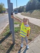 większy obrazek nr 4