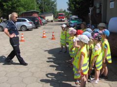 większy obrazek nr 22