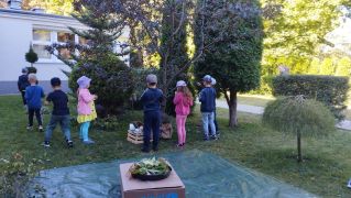 większy obrazek nr 15