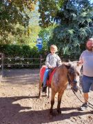 większy obrazek nr 109