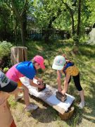 większy obrazek nr 15