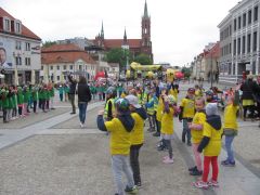 większy obrazek nr 8