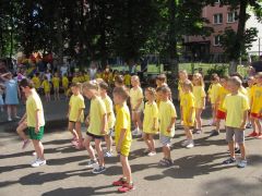 większy obrazek nr 19